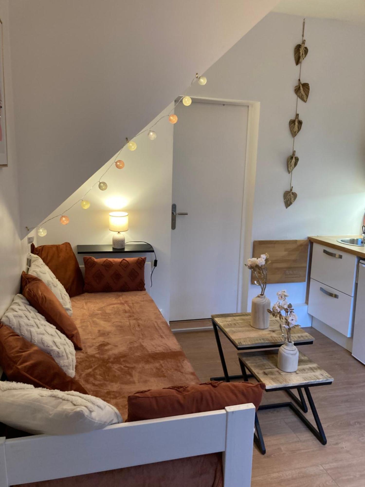 Exceptionnel Au Coeur De Lille Apartment ภายนอก รูปภาพ