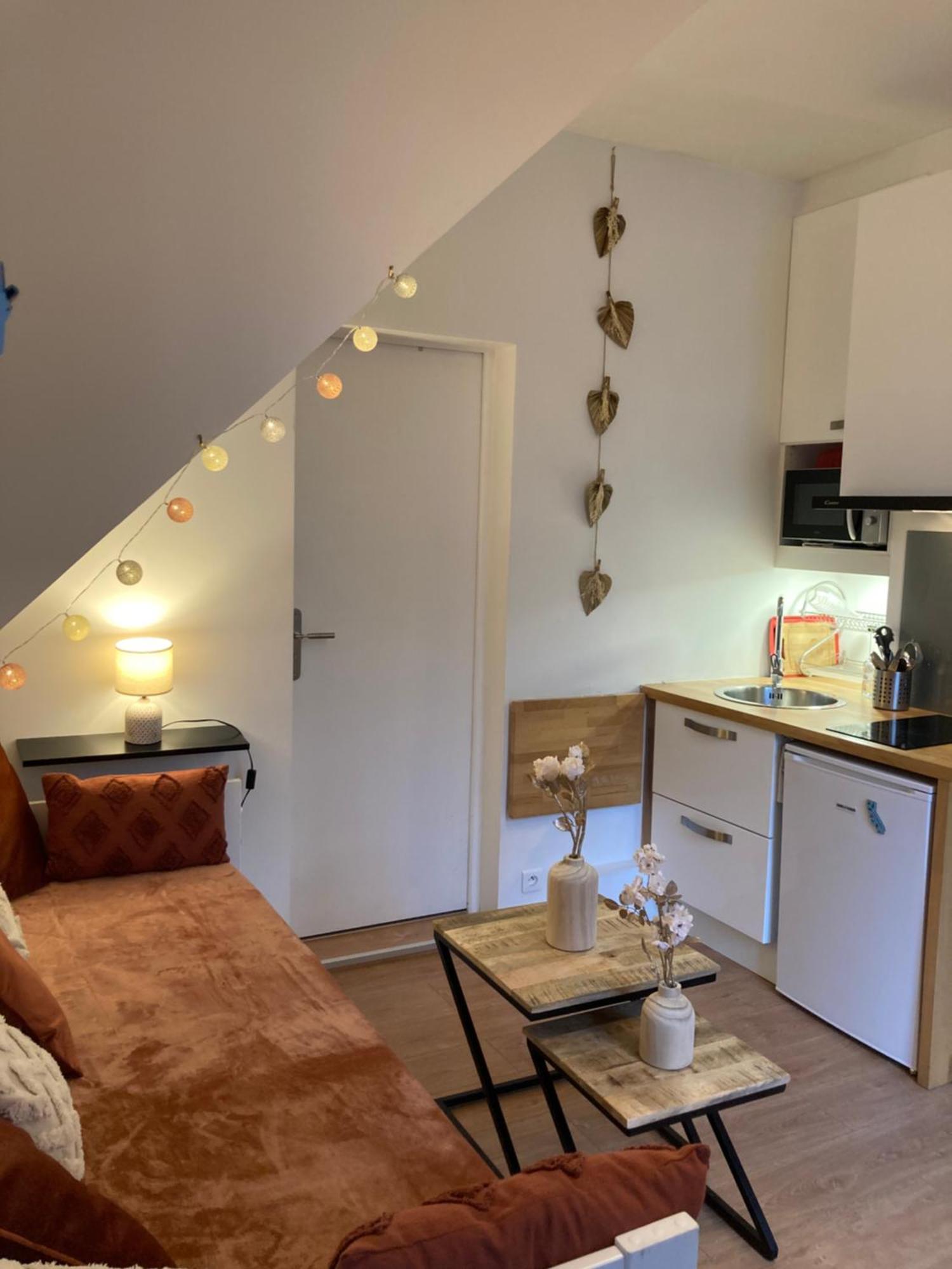 Exceptionnel Au Coeur De Lille Apartment ภายนอก รูปภาพ