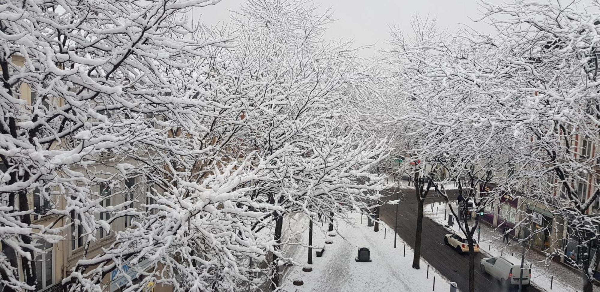 Exceptionnel Au Coeur De Lille Apartment ภายนอก รูปภาพ